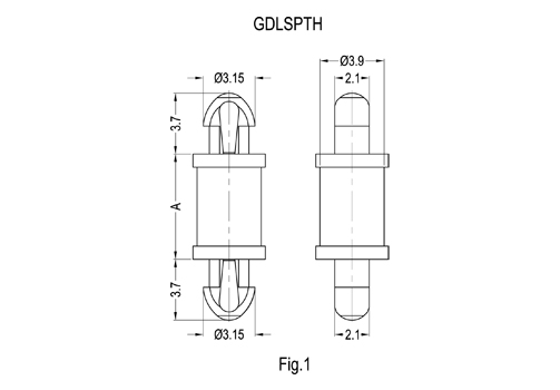 GDLSPTH&GSP-MDL-3&GNPR2007 2D 503X350.jpg